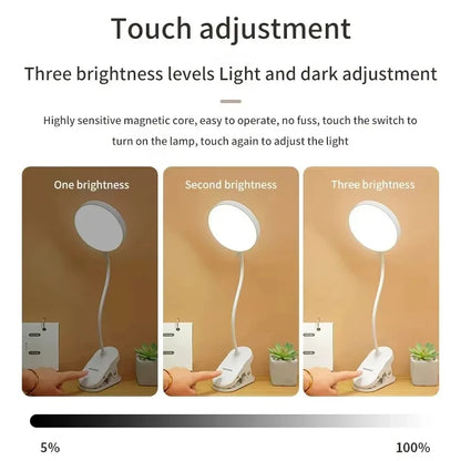 Led Table Lamp